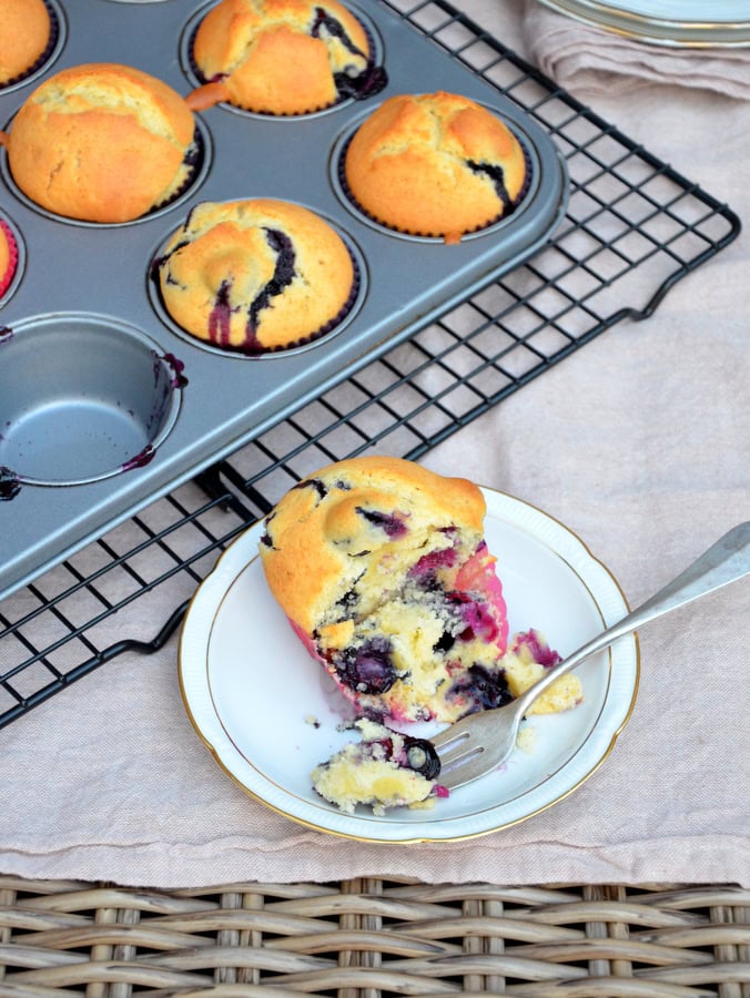 Ein Blaubeer-Muffin auf einem Teller, angegabelt, hinten weitere Blaubeer-Muffins in einem Muffinblech 