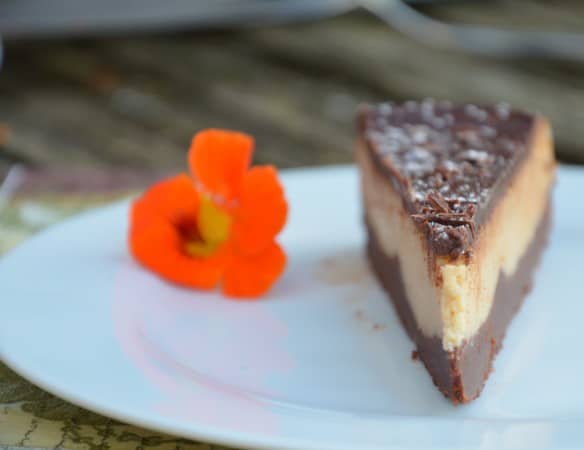 Erdnussbutter-Schokolade-Cheesecake mit Schokoladeglasur, laktosefrei