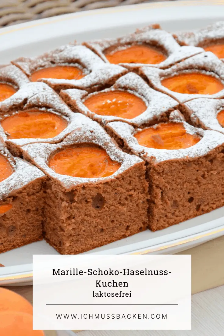 Marille-Schoko-Haselnuss-Kuchen