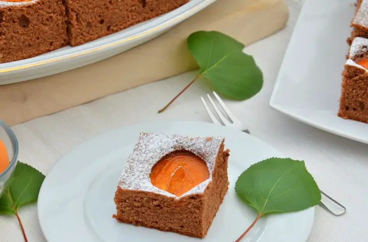 Marillen-Schoko-Haselnuss-Kuchen