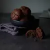 Chocolate Cookies mit Tahini, vegan: 1 Cookie ist in 2 Hälften geteilt; Ansicht von schräg vorne